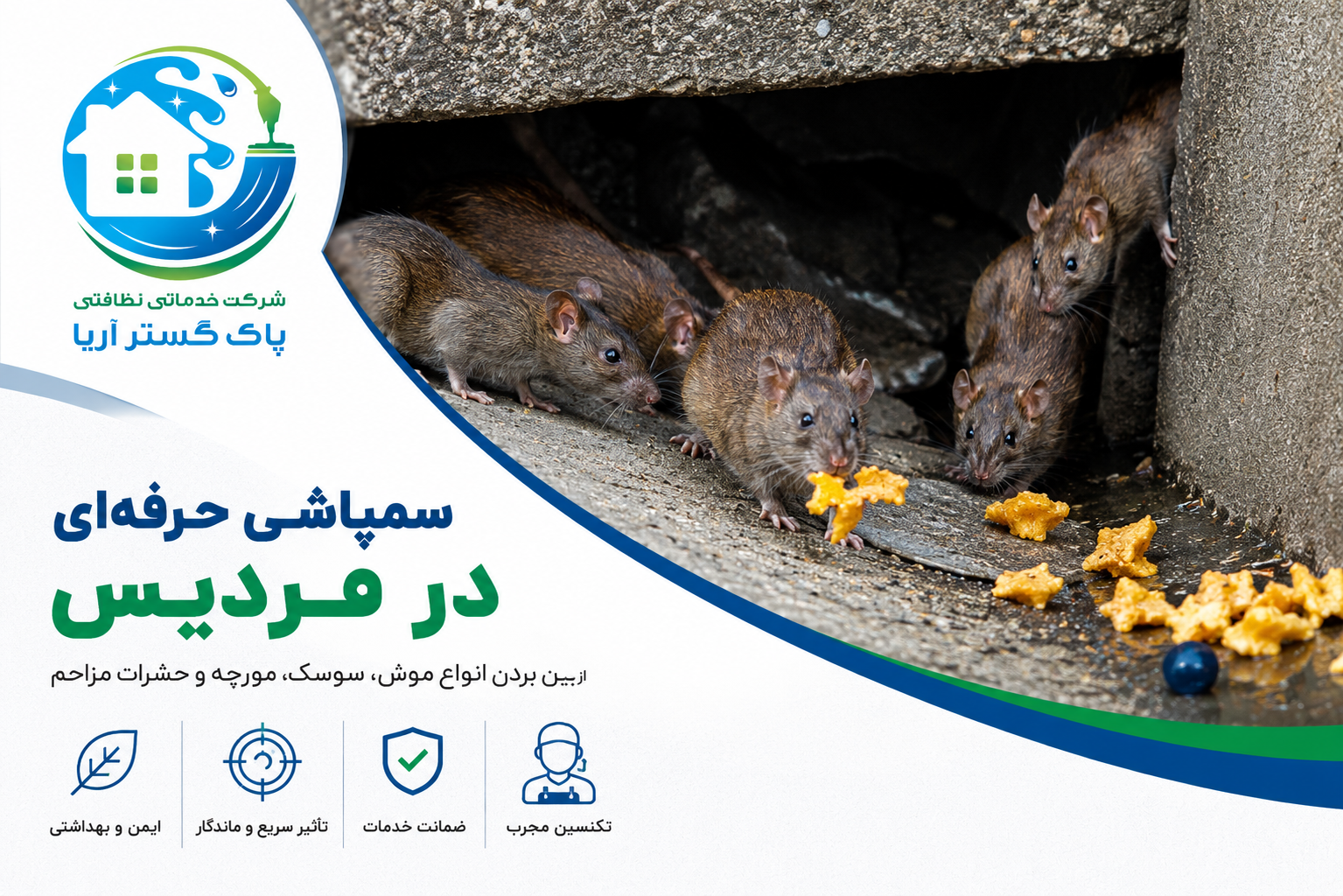 سمپاشی موش در فردیس با تیم حرفه ای پاک گستر آریا