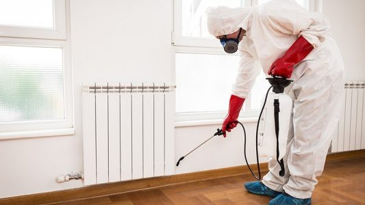 سمپاشی تضمینی در اندیشه
